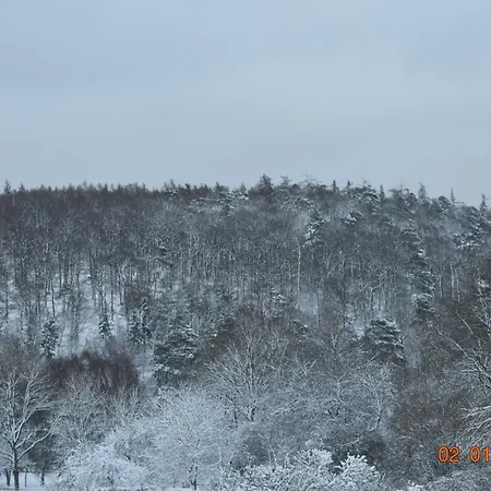 Forest Hébergement de vacances